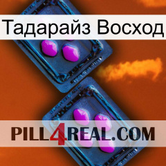 Тадарайз Восход 03